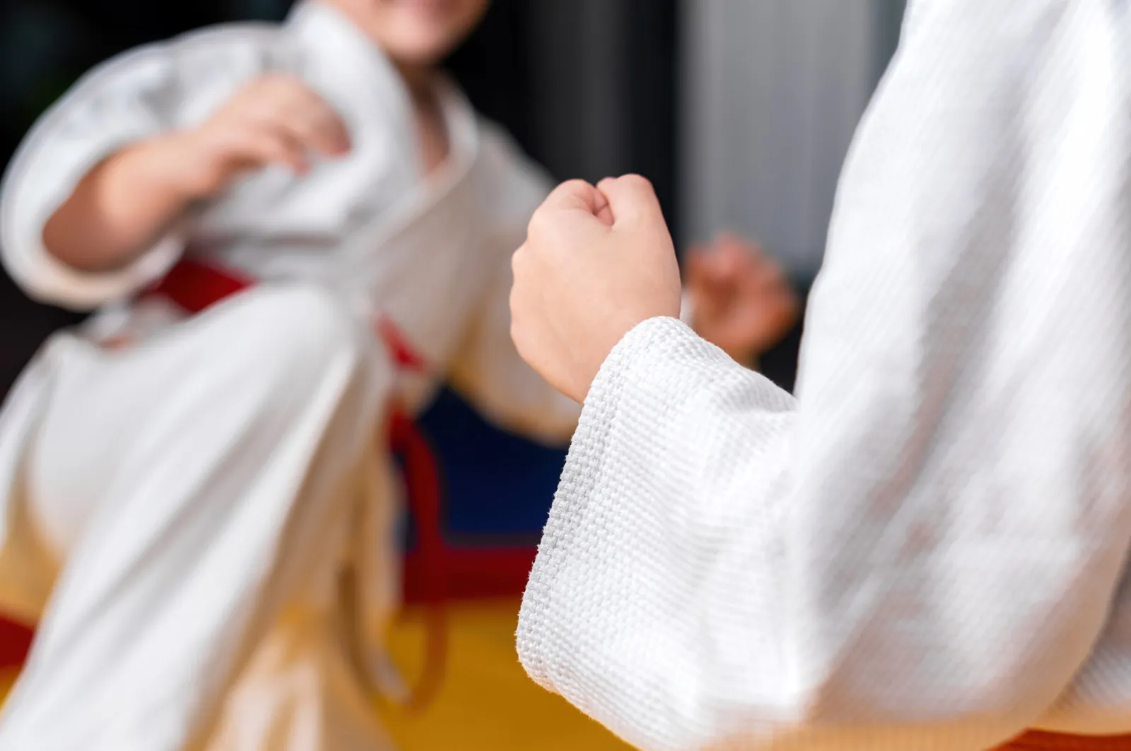 Welcome to Teixeira/Garcia Brazilian Jiu-Jitsu